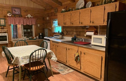 Howard Cabin | Cozy Cabin Nestled at the base of the Bald Eagle Mtn.