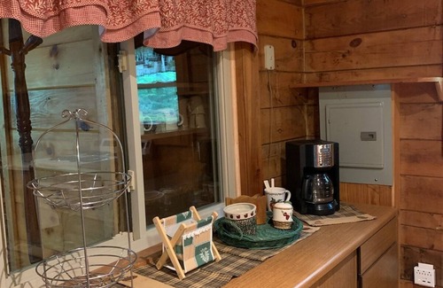 Howard Cabin | Cozy Cabin Nestled at the base of the Bald Eagle Mtn.