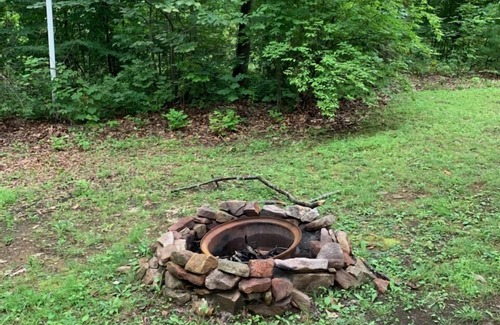 Howard Cabin | Cozy Cabin Nestled at the base of the Bald Eagle Mtn.