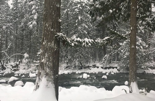 Laidlaw House | Cozy Cabin on Silver Hope Creek