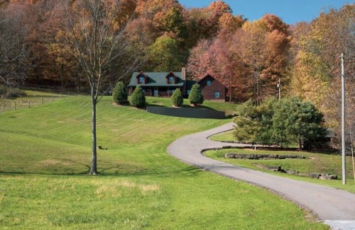 Dundee Cabin | Cozy cabin on the hill with amazing surroundings.