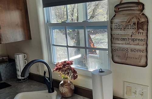 White Bird Cabin | Cozy cabin on White Bird Creek, Petfriendly