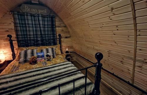 Spittal House | Cozy Cabin Retreat in Halkirk