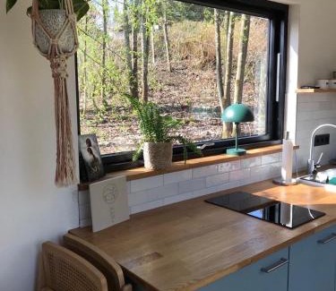 Hahnenklee House | Cozy Cabins I Tiny House Seecontainer