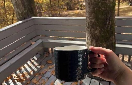 Carbondale Apartment | Cozy Cabins in the woods.