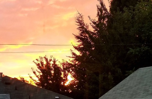 Snohomish Cottage | Cozy Cady Cottage walk to antiques, restaurants, and centennial trail