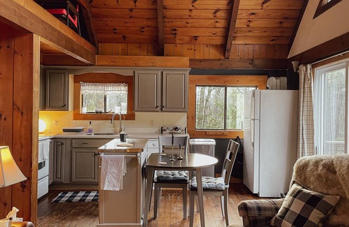 Center Lovell Ski Chalet | Cozy chalet near lakes and mountains. Pet friendly!