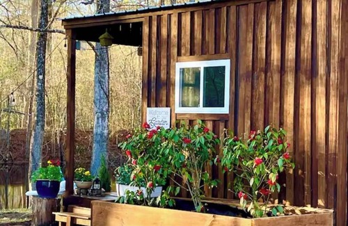 Conway Cabin | Cozy Cocoon by the Pond