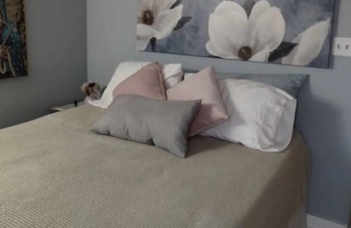 Tobin Hill Apartment | Cozy Converted Carriage Guest House in Yropical Garden