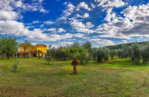 Gavorrano House | Cozy country house surrounded by olive trees.