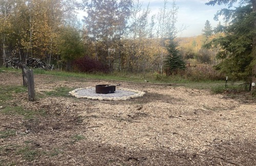 Division No. 11 Ski Chalet | Cozy Coyote Chalet Pet friendly off grid n25 mins from downtown Edmonton