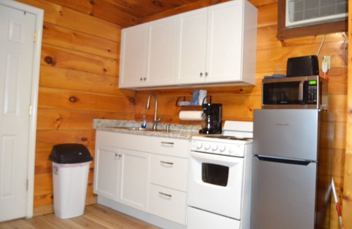 Stanton Cabin | Cozy & efficient cabin w/river access. Pet Friendly!
