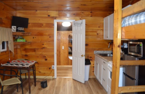 Stanton Cabin | Cozy & efficient cabin w/river access. Pet Friendly!