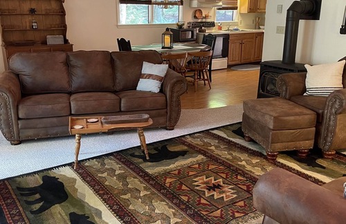 Dushore Cabin | Cozy getaway for your winter adventure: Pet-friendly3BR cabin near trails!