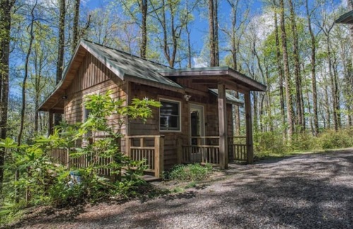 Chimney Rock Cabin | Cozy Guest Cabin Pet Friendly Secluded Peaceful