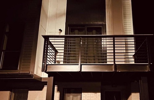 East Atlanta House | Cozy home in the heart of E Atlanta surrounded by nice restaurants & activities