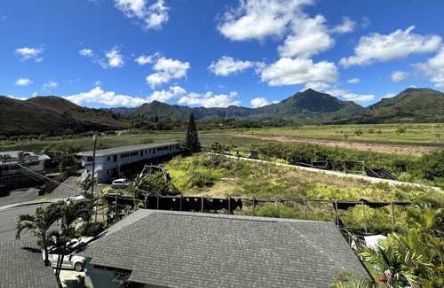 Coconut Grove Condo | Cozy Kailua condo all to yourself, Only a 5 minute walk to Kailua Town 7/30