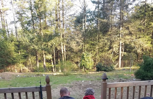 Ashby House | Cozy Large A-Frame Log Home with Fenced Yard (All Dogs Welcome!)