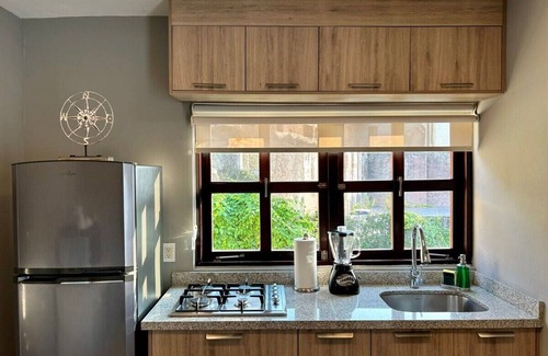 Downtown Mazatlan Apartment | Cozy loft at historic district |near the beach.