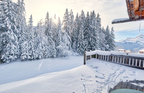 Notre-Dame-de-Bellecombe Ski Chalet | Cozy mountain chalet with stove, terrace and pets allowed