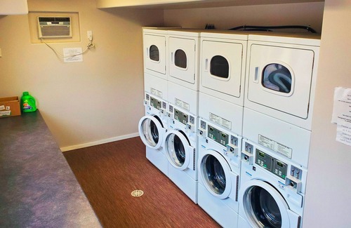 Plum Coulee Condo | 🛏️ Cozy, Modern, Vibrant ☀️ Studio Suite