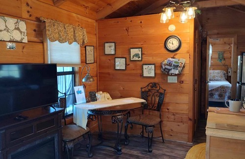 Waynesville Cabin | Cozy mountain cabin with amazing views, year round hot tub and pet friendly