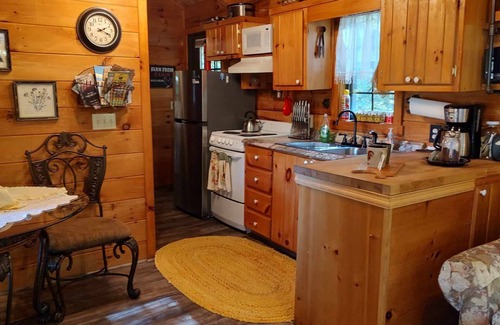 Waynesville Cabin | Cozy mountain cabin with amazing views, year round hot tub and pet friendly