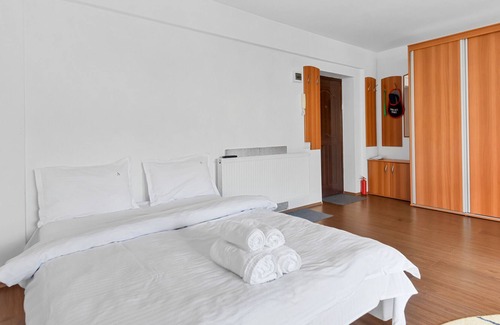 Sinaia Apartment | Cozy Mountain Little Studio