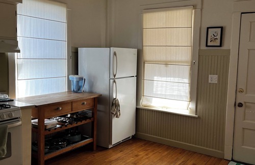 Irving Park Apartment | Cozy, Natural Albany Park Apartment