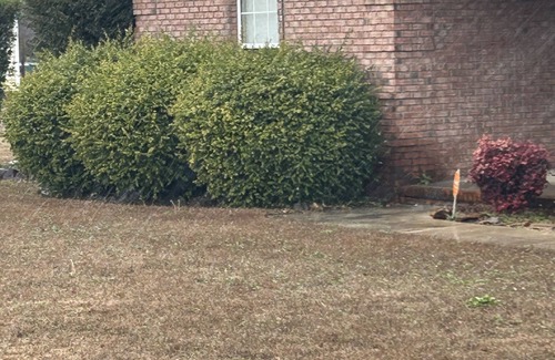 Fort Valley House | Cozy one bed room in a nice neighborhood.