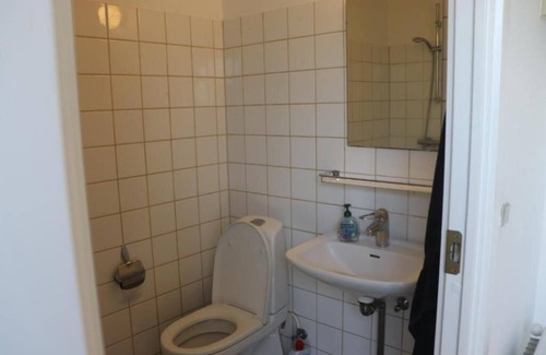 Roskilde Municipality Apartment | Cozy One Room Apartment with Garden Views – Near Roskilde