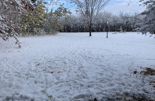 Bozeman Apartment | Cozy pet friendly apartment close to downtown Bozeman