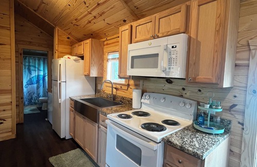 Steinhatchee Cabin | Cozy pet friendly 2-bedroom cabin in Steinhatchee, FL
