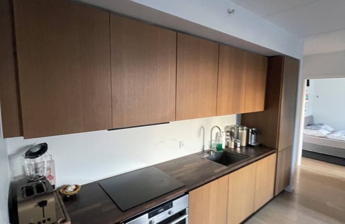 Aarhus C Condo | Cozy & Private Seaview Retreat - 2 Balconies, 11th Floor, Elevator