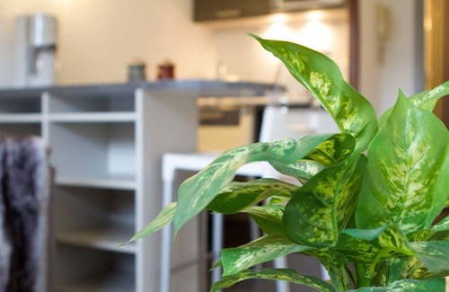 Saint-Chaffrey Apartment | Cozy Renovated Studio with Parking, Ski Shuttle Access, and Mountain Views