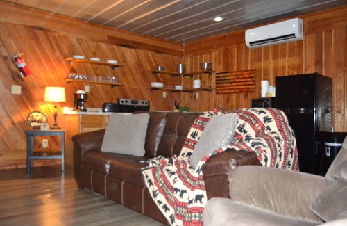 Stanton Cabin | Cozy River front cabin w/Private natural spring. Pet Friendly!