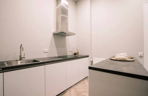 Tilburg Villa | Cozy room with bath, 35m2, fast, stable WiFi and herringbone floor.
