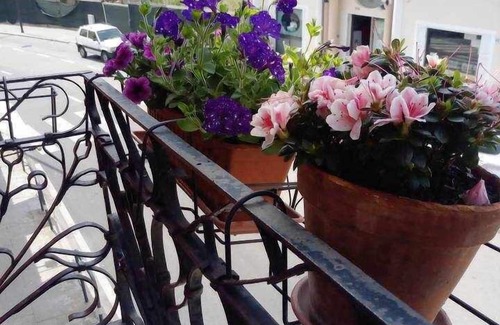 Olbia City Centre Apartment | Cozy rooms to rent in Olbia City Center