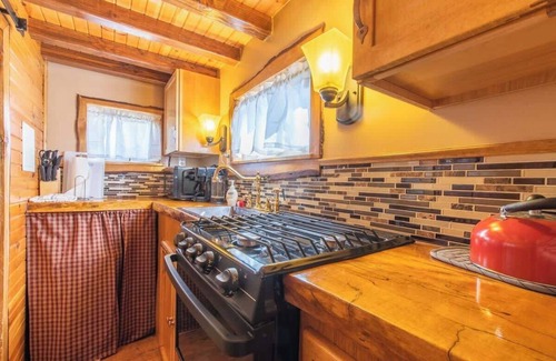 Leadville Apartment | Cozy, rustic Tiny House Rudy