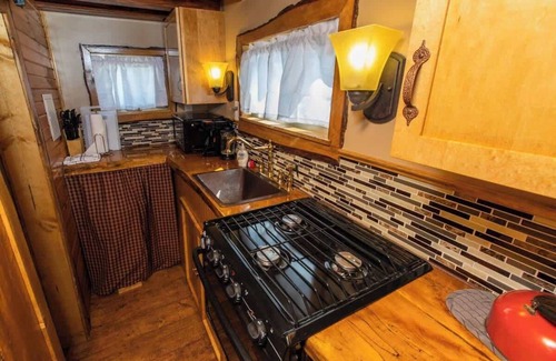 Leadville Apartment | Cozy, rustic Tiny House Rudy