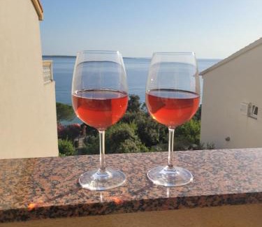 Mandre Apartment | Cozy seaside family apartment Iris in Mandre