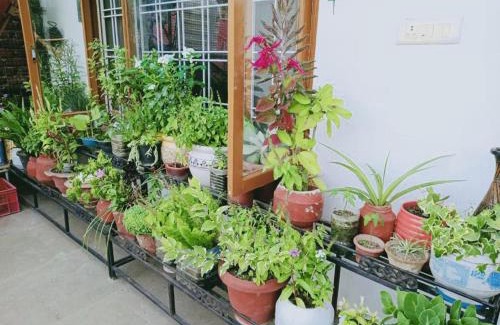 Deoghat Apartment | Cozy Solan Apartment with Stunning Views