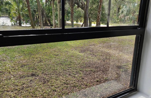 Crawfordville House | Cozy Spring Creek Cottage, fishing, hunting, relaxing in nature's coast.