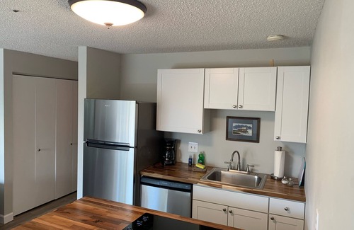 South Addition Apartment | Cozy Studio Apartment within walking distance of downtown attractions