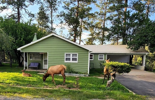 Ruidoso Cabin | Cozy Surprise: Surprises Abound in this Cute 2 Bedroom With a Hot Tub!