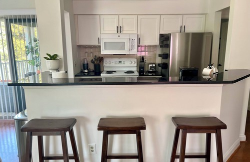 Charlotte Condo | Cozy~ Vaulted Ceilings~ Midtown~ Elizabeth Condo