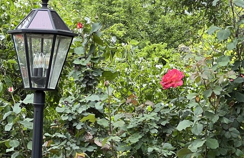 Ione Cottage | Cozy Vintage small Rustic Rose Cottage w 3 private Bedroom’s