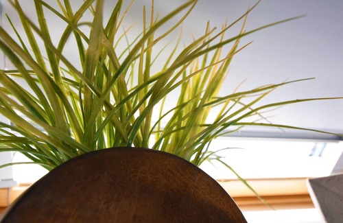 Kingsbridge Apartment | Crabshell Heights Apartment