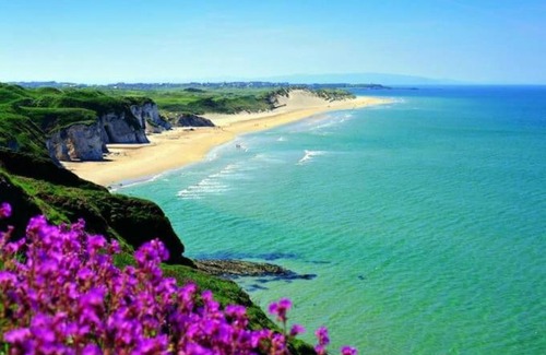 Portrush House | Crayfish Cottage 5 mins to the beach! Autumn and Xmas stays booking now