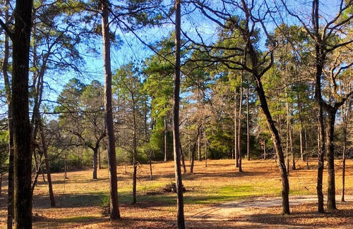 Crockett House | "Creekside" a Lake, Creek, Forest & Rolling Hills